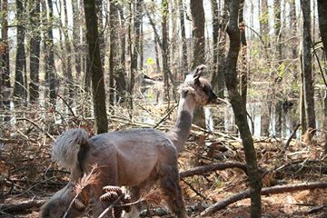 10152591_10201925994935092_1777097174_n