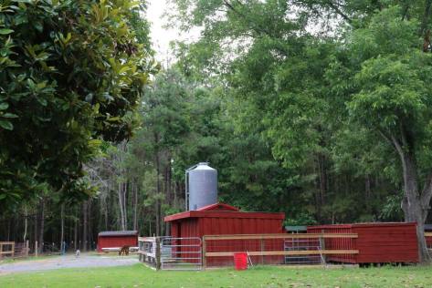 10311787_793059014039748_5038144904896191506_n