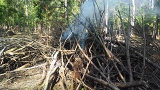 10313648_10202397277516862_5377528840214956327_n