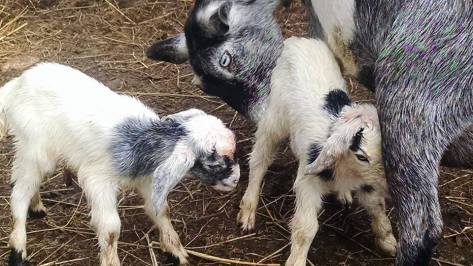 10409104_10203838095016399_6775615911112784060_n