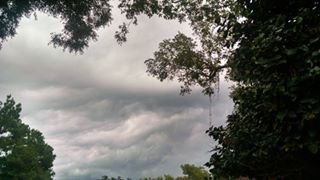 10666100_10202964591339353_3385764289414787392_n