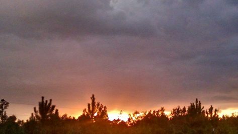 10768_10203250848855612_2598981358218315079_n