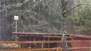 10888482_10203595553713018_3599603439586086421_n