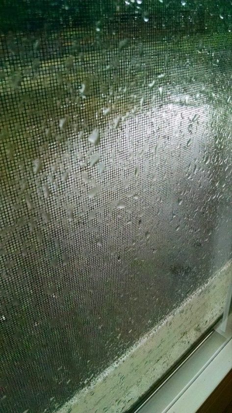 11063535_10204331139382200_640608622393686301_n