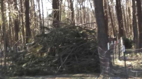 1236499_10201705102532920_868617035_n