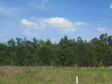 13087391_10206613244393399_2720321457163651098_n