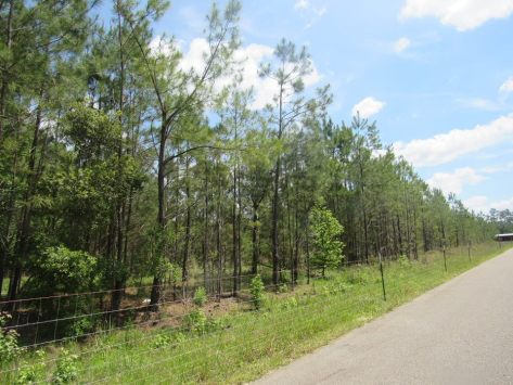 13095857_10206613241873336_2009870576527110336_n (1)