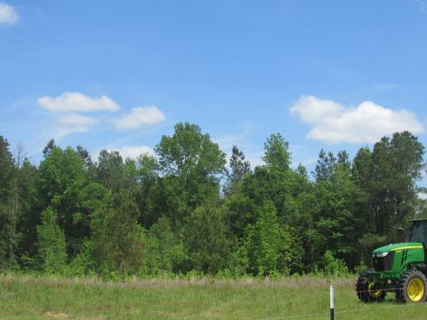 13100673_10206613243073366_3172722919911824564_n