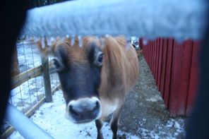 1510822_10201605014310777_889780429_n