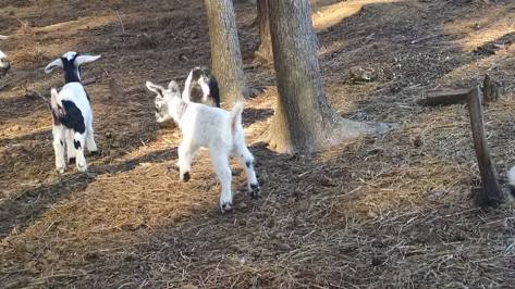 1545700_10203867057980455_540457702033059862_n