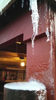 1546076_10201613010750683_354744344_n