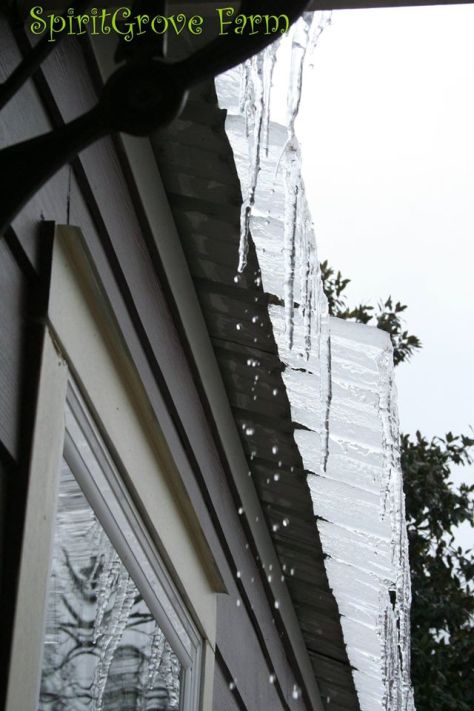 1614573_10201611372589730_65543287_o