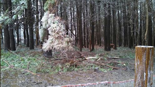 1779199_10201685546124022_863387432_n