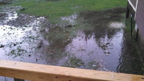 1959430_10202131213865437_6968030507015001399_n