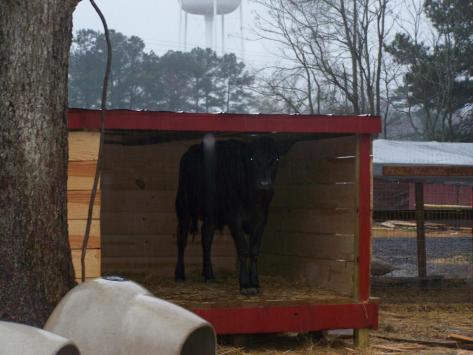 481518_4500002381742_1182798351_n