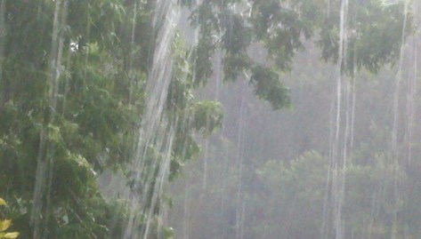 960289_10200248089748511_1568548059_n