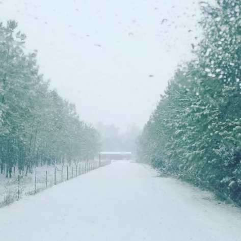 26226978_506131849758880_5483956290986180608_n(1)