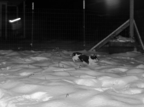 imageedit_15_5381406884