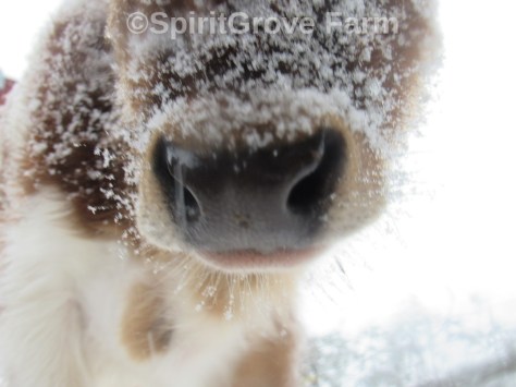 imageedit_17_8922914270