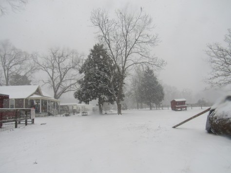 imageedit_18_7590841352