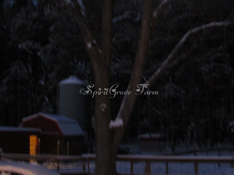 imageedit_25_3678860843