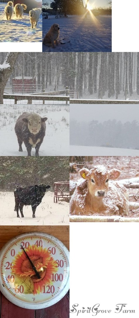 imageedit_30_9099087495