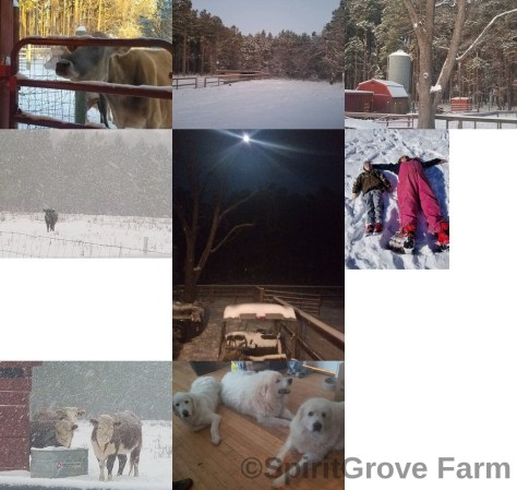 imageedit_35_2243482645