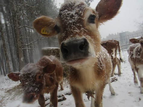 imageedit_3_4983911182