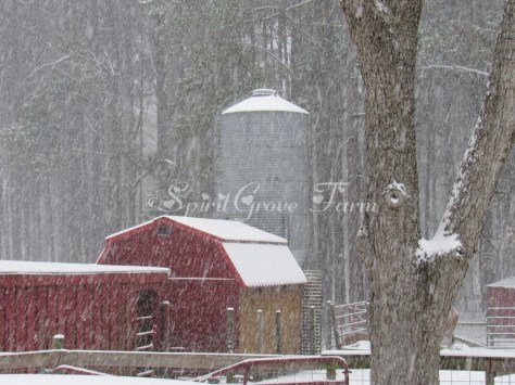 imageedit_7_6948629483